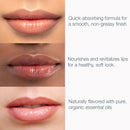 Bambalo USDA Organic 4-Pack Lip Balm Set-4